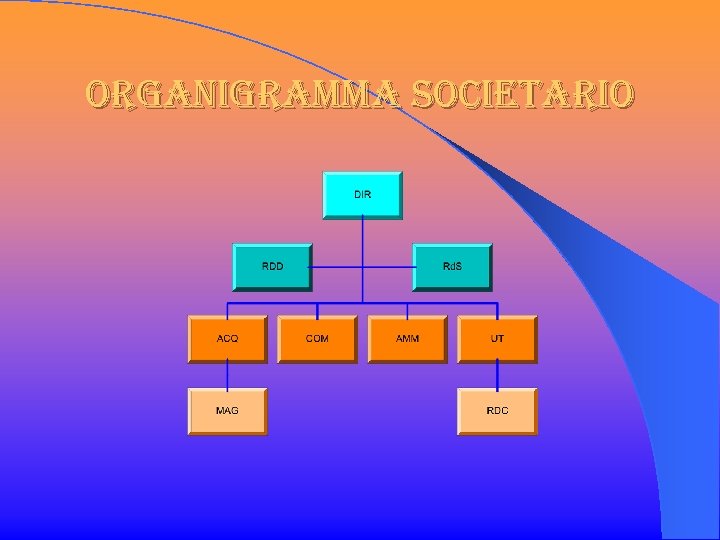 organigramma societario 