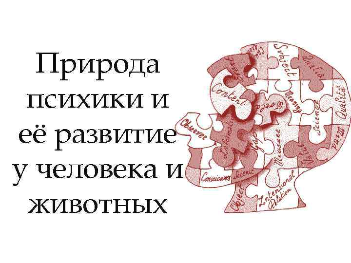 Природа психики и её развитие у человека и животных 