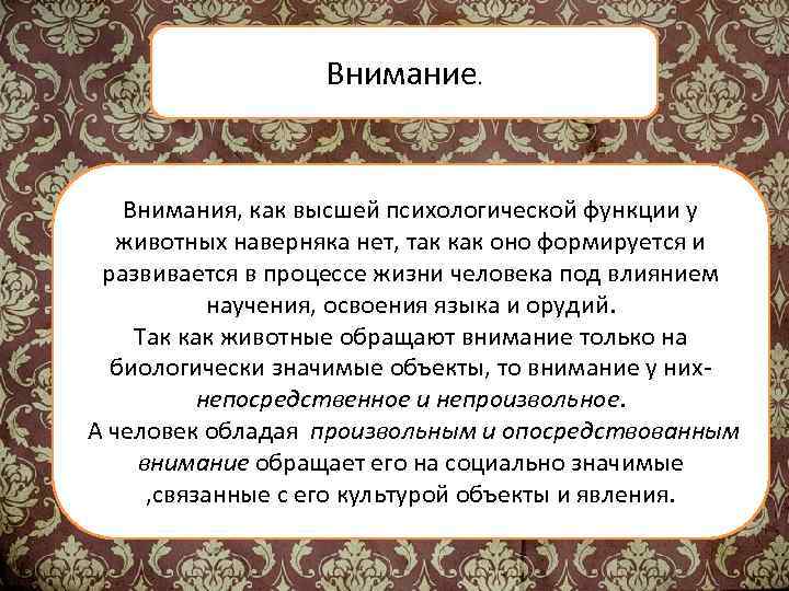 Внимание. Внимания, как высшей психологической функции у животных наверняка нет, так как оно формируется