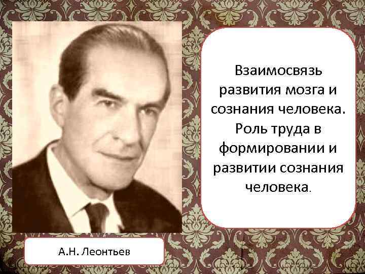 Взаимосвязь развития мозга и сознания человека. Роль труда в формировании и развитии сознания человека.
