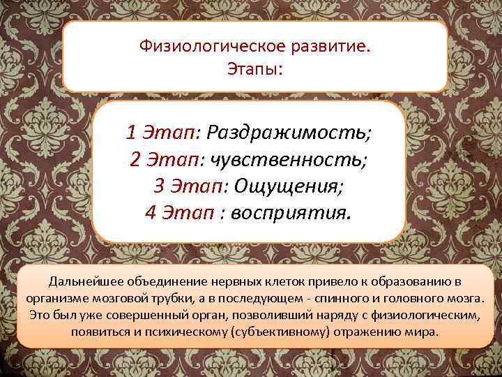 Физиологическое развитие. Этапы: 1 Этап: Раздражимость; 2 Этап: чувственность; 3 Этап: Ощущения; 4 Этап