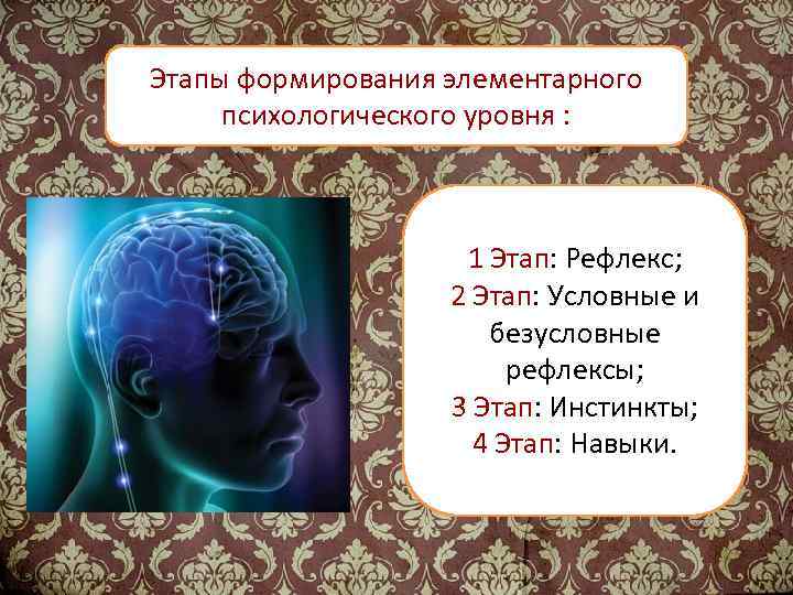 Этапы формирования элементарного психологического уровня : 1 Этап: Рефлекс; 2 Этап: Условные и безусловные