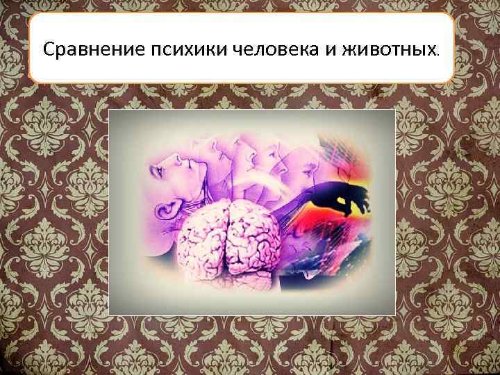 Природа психического