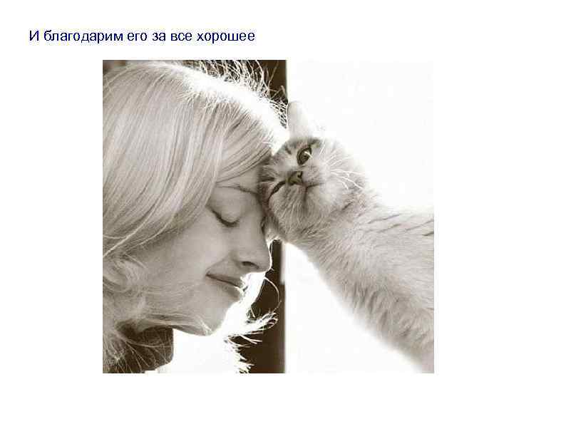 И благодарим его за все хорошее 
