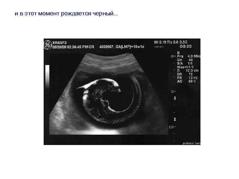и в этот момент рождается черный. . . 