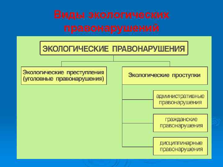 Виды экологических правонарушений 