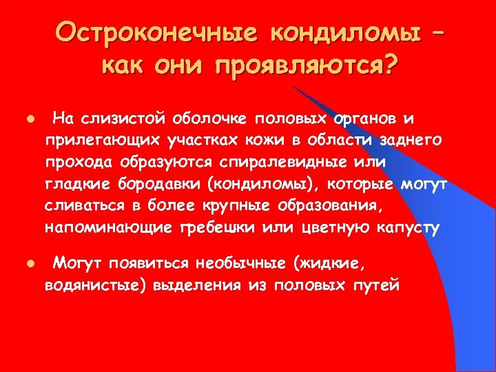 Остроконечные кондиломы – как они проявляются? l l На слизистой оболочке половых органов и