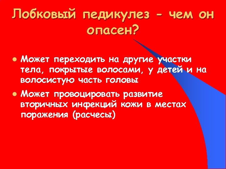 Лобковый педикулез - чем он опасен? l l Может переходить на другие участки тела,
