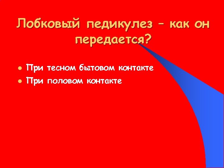 Лобковый педикулез – как он передается? l При тесном бытовом контакте l При половом