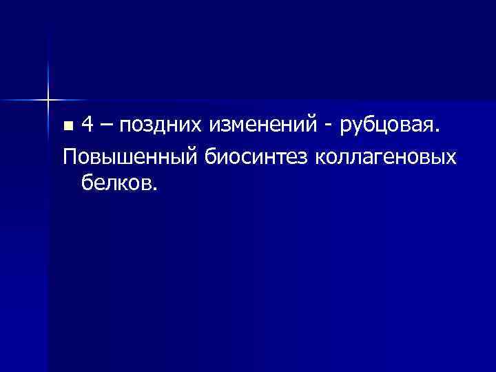 4 – поздних изменений - рубцовая. Повышенный биосинтез коллагеновых белков. n 