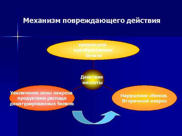 Механизм повреждающего действия химическое преобразование белков Действие кислоты Увеличение зоны некроза продуктами распада денатурированных