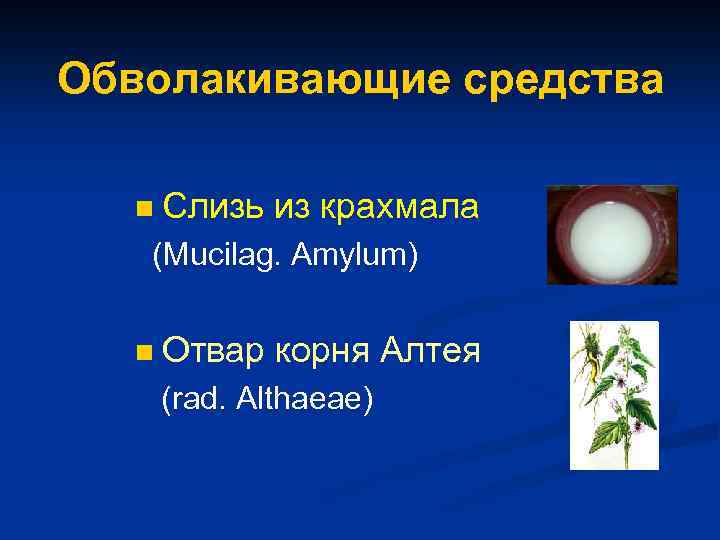 Обволакивающие средства n Слизь из крахмала (Mucilag. Amylum) n Отвар корня Алтея (rad. Althaeae)