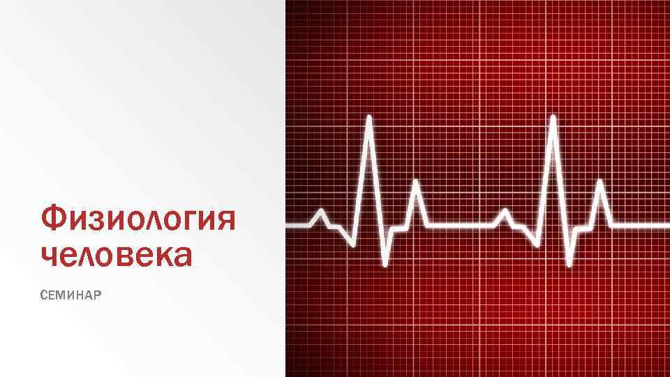 Физиология человека СЕМИНАР 