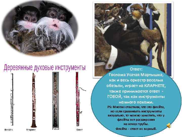 Ответ: Госпожа Усатая Мартышка, как и весь оркестр веселых обезьян, играет на КЛАРНЕТЕ, также