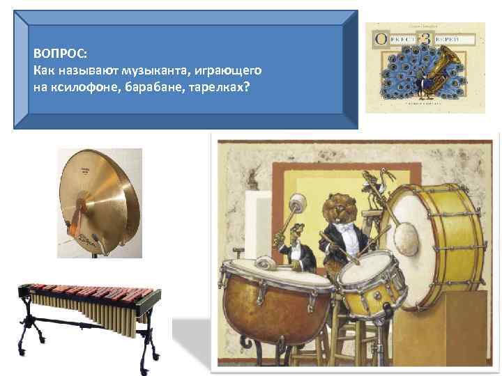 ВОПРОС: Как называют музыканта, играющего на ксилофоне, барабане, тарелках? 