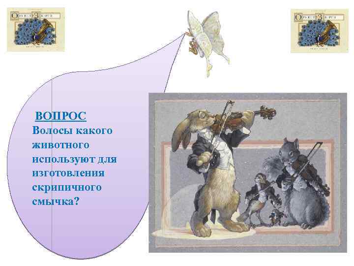  ВОПРОС Волосы какого животного используют для изготовления скрипичного смычка? 