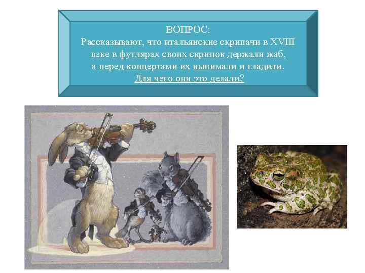 ВОПРОС: Рассказывают, что итальянские скрипачи в XVIII веке в футлярах своих скрипок держали жаб,