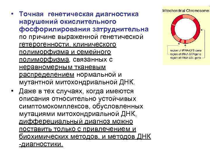  • Точная генетическая диагностика нарушений окислительного фосфорилирования затруднительна по причине выраженной генетической гетерогенности,