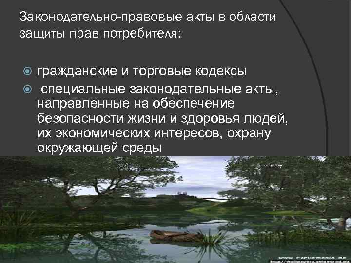 Законодательно-правовые акты в области защиты прав потребителя: гражданские и торговые кодексы специальные законодательные акты,
