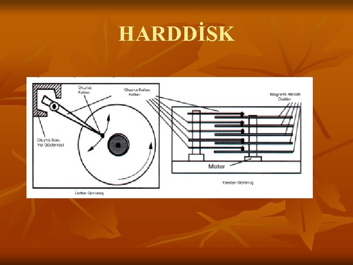 HARDDİSK 