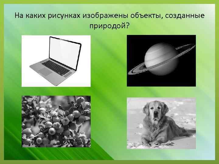 На каких рисунках изображены объекты, созданные природой? 