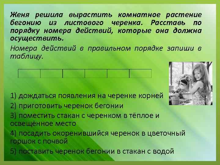 Женя решила вырастить комнатное растение бегонию из листового черенка. Расставь по порядку номера действий,