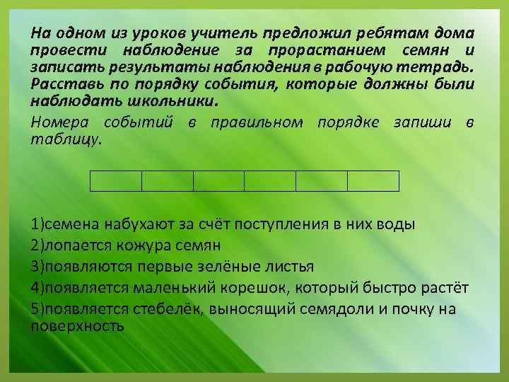 На одном из уроков учитель предложил ребятам дома провести наблюдение за прорастанием семян и