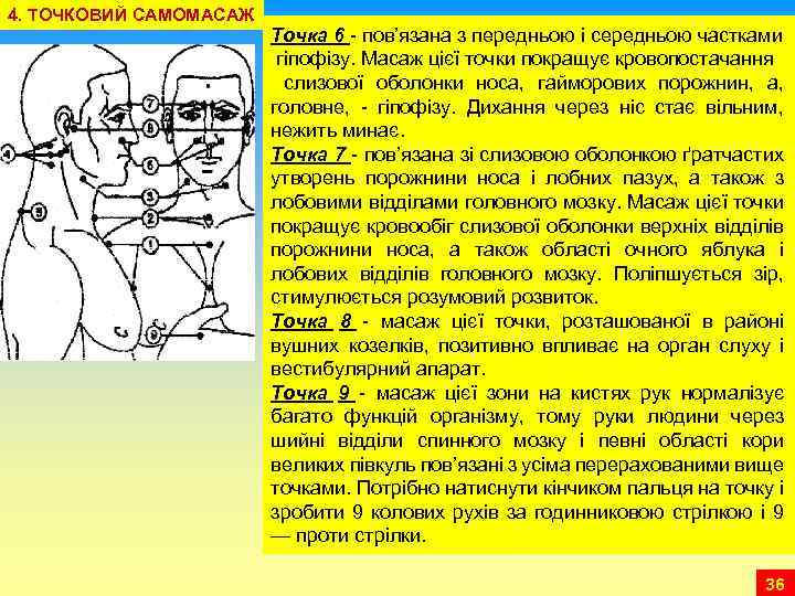 4. ТОЧКОВИЙ САМОМАСАЖ Точка 6 пов’язана з передньою і середньою частками гіпофізу. Масаж цієї