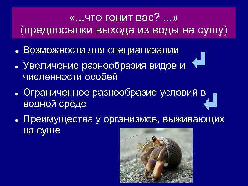  «. . . что гонит вас? . . . » (предпосылки выхода из
