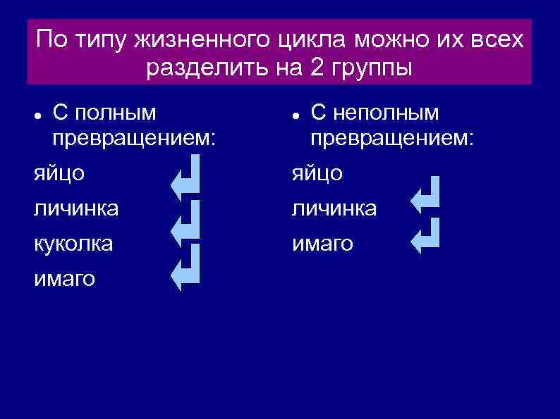 По типу жизненного цикла можно их всех разделить на 2 группы С полным превращением: