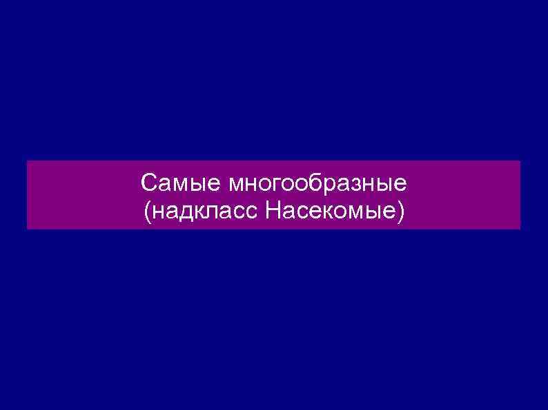 Самые многообразные (надкласс Насекомые) 