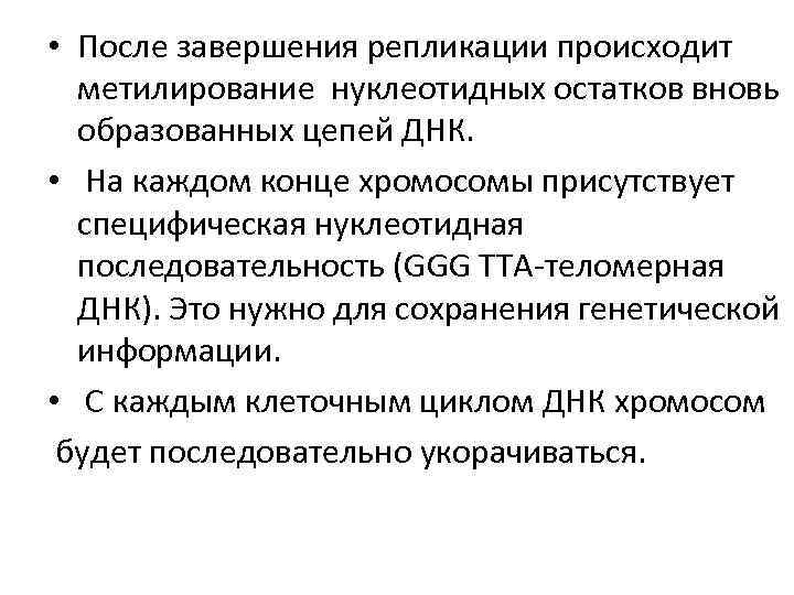  • После завершения репликации происходит метилирование нуклеотидных остатков вновь образованных цепей ДНК. •