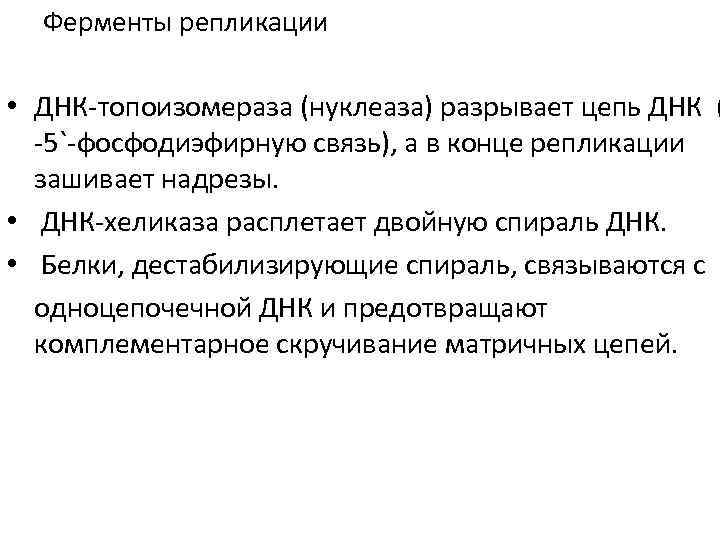 Ферменты репликации • ДНК-топоизомераза (нуклеаза) разрывает цепь ДНК ( -5`-фосфодиэфирную связь), а в конце