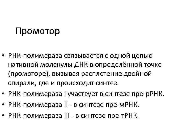 Промотор • РНК-полимераза связывается с одной цепью нативной молекулы ДНК в определённой точке (промоторе),