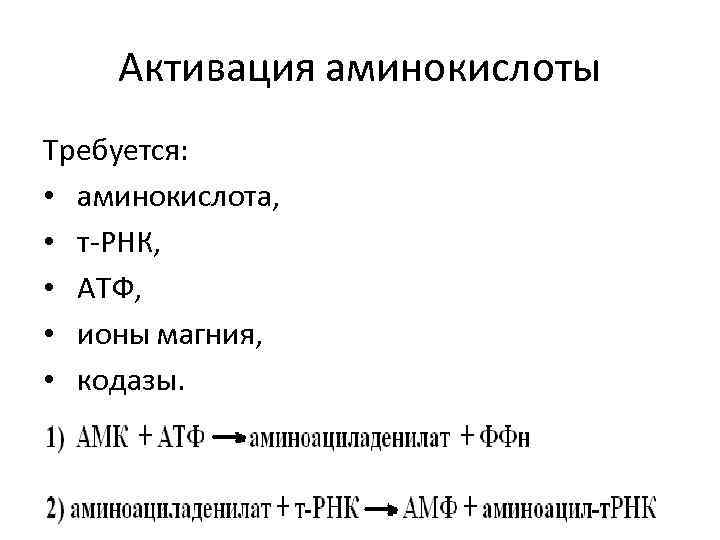 Активация аминокислоты Требуется: • аминокислота, • т-РНК, • АТФ, • ионы магния, • кодазы.