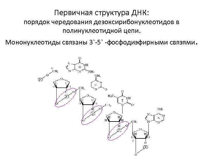 Структура цепи связи