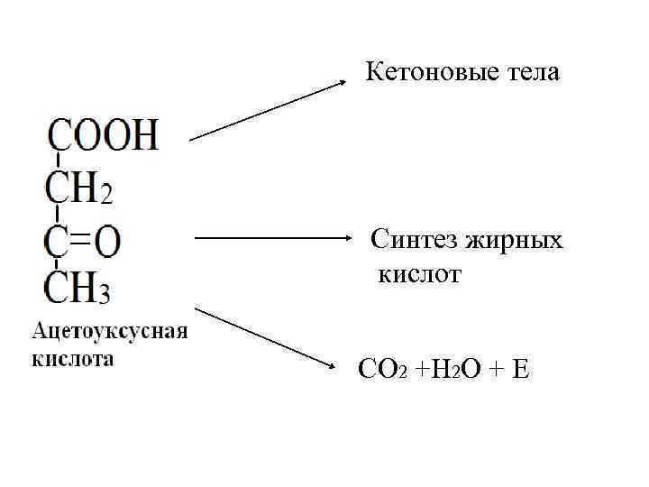 Теле синтез. Синтез кетоновых тел из жирных кислот. Кетоновые кислоты. Перечислить кетоновые тела. Кетоновые тела формулы.