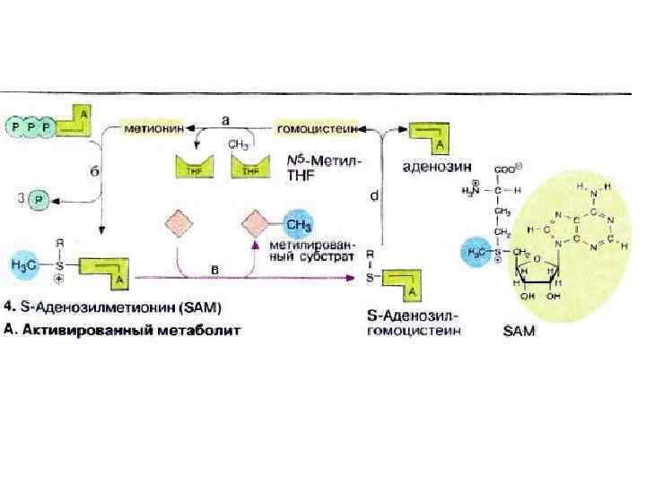 Nh3 схема превращений