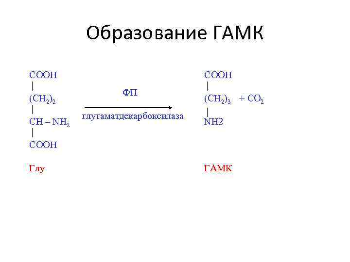 Образование ГАМК СООН (СН 2)2 СН – NH 2 COOH ФП глутаматдекарбоксилаза (CH 2)3