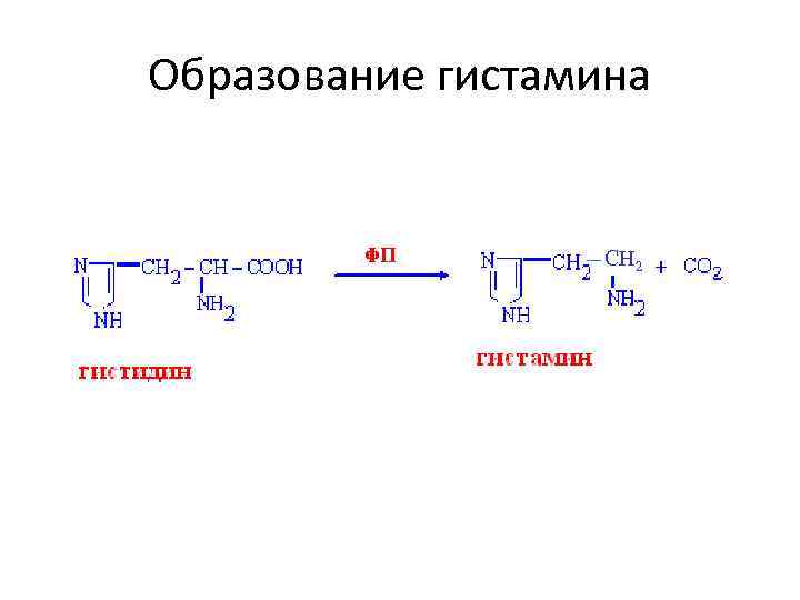 Образование гистамина СН 2 