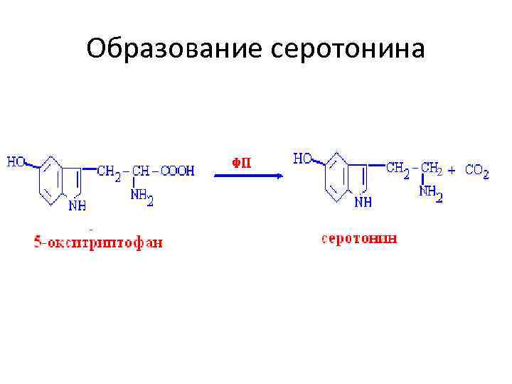 Образование серотонина 2 