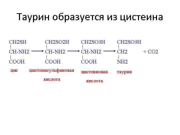 Таурин образуется из цистеина CH 2 SH CH 2 SO 2 H CH 2