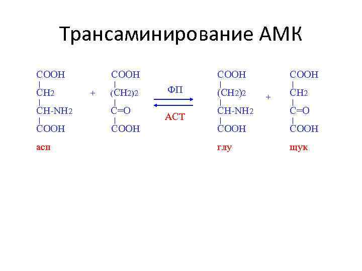 Трансаминирование АМК СООН СН 2 СООН + (CH 2)2 СН-NH 2 C=O COOH асп