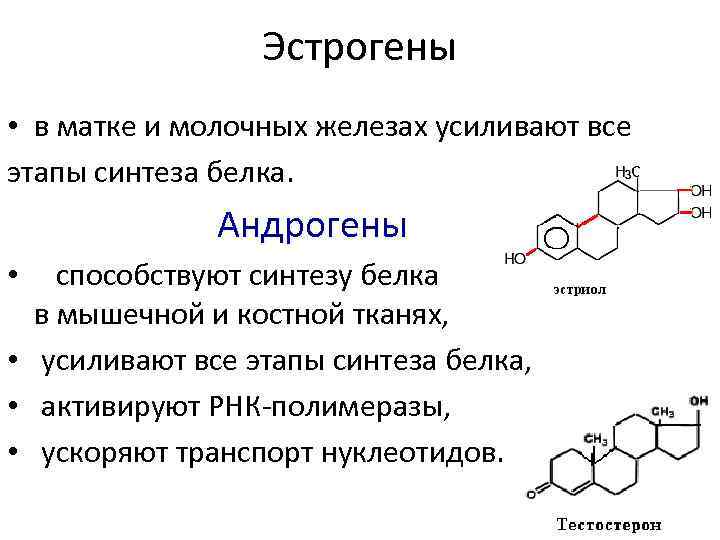 Эстрогены • в матке и молочных железах усиливают все этапы синтеза белка. Андрогены способствуют