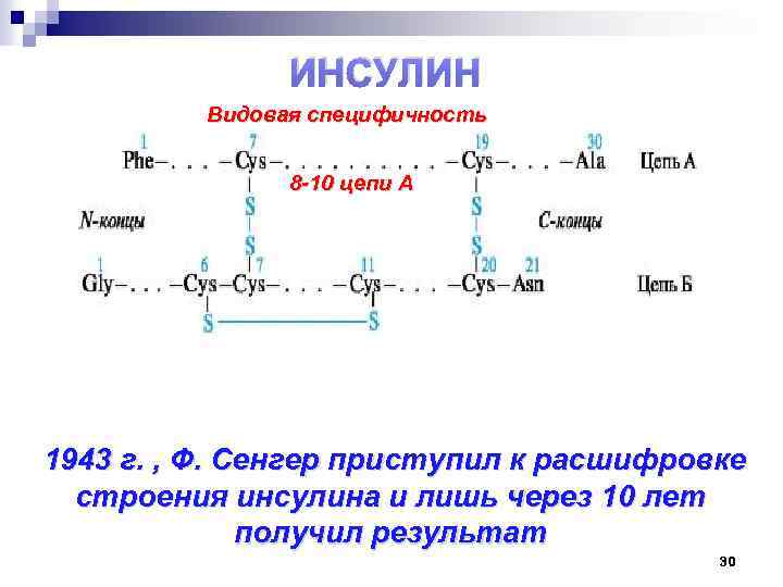 Белки инсулин