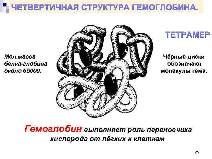 4 организации белка. Четвертичная структура белка гемоглобина. Четвертичная структура молекулы белка. Четвертичная структура белка это структура. Четвертичная структура белка гемоглобина схема.