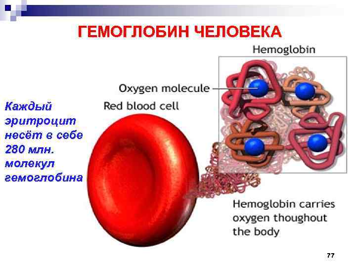 Гемоглобин химия презентация