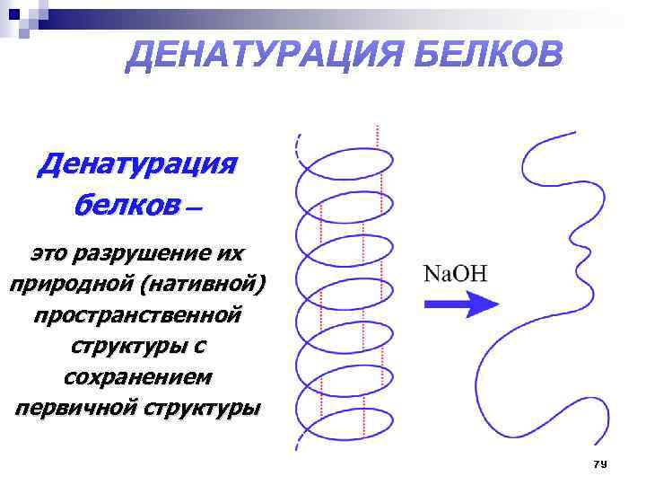 Схема денатурации белка