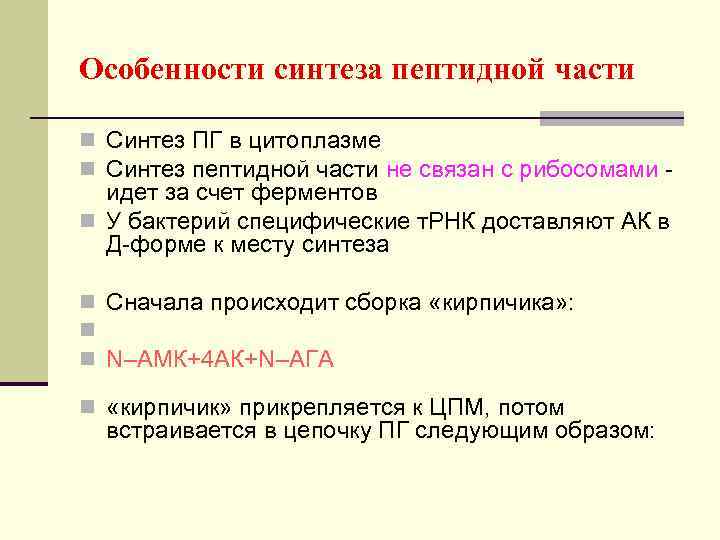 Особенности синтеза пептидной части n Синтез ПГ в цитоплазме n Синтез пептидной части не