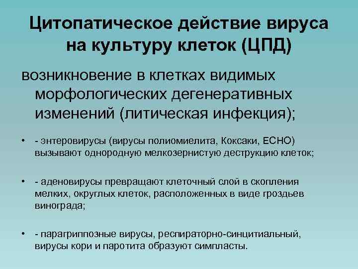Цитопатическое действие вируса на культуру клеток (ЦПД) возникновение в клетках видимых морфологических дегенеративных изменений